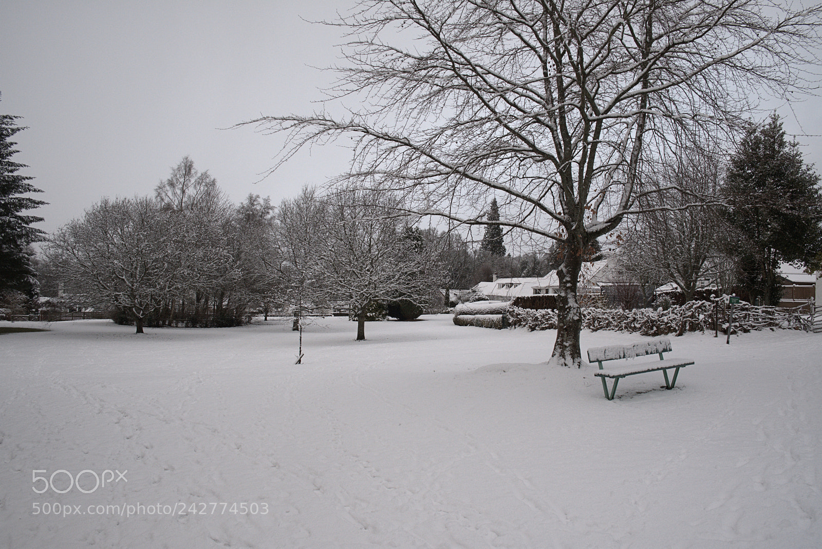 Fujifilm X-T20 sample photo. Ochlochy park raw () photography