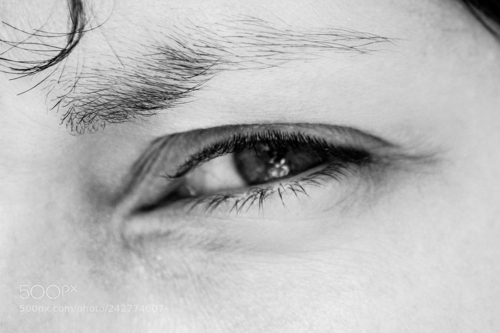 Canon EOS 550D (EOS Rebel T2i / EOS Kiss X4) sample photo. Eye photography