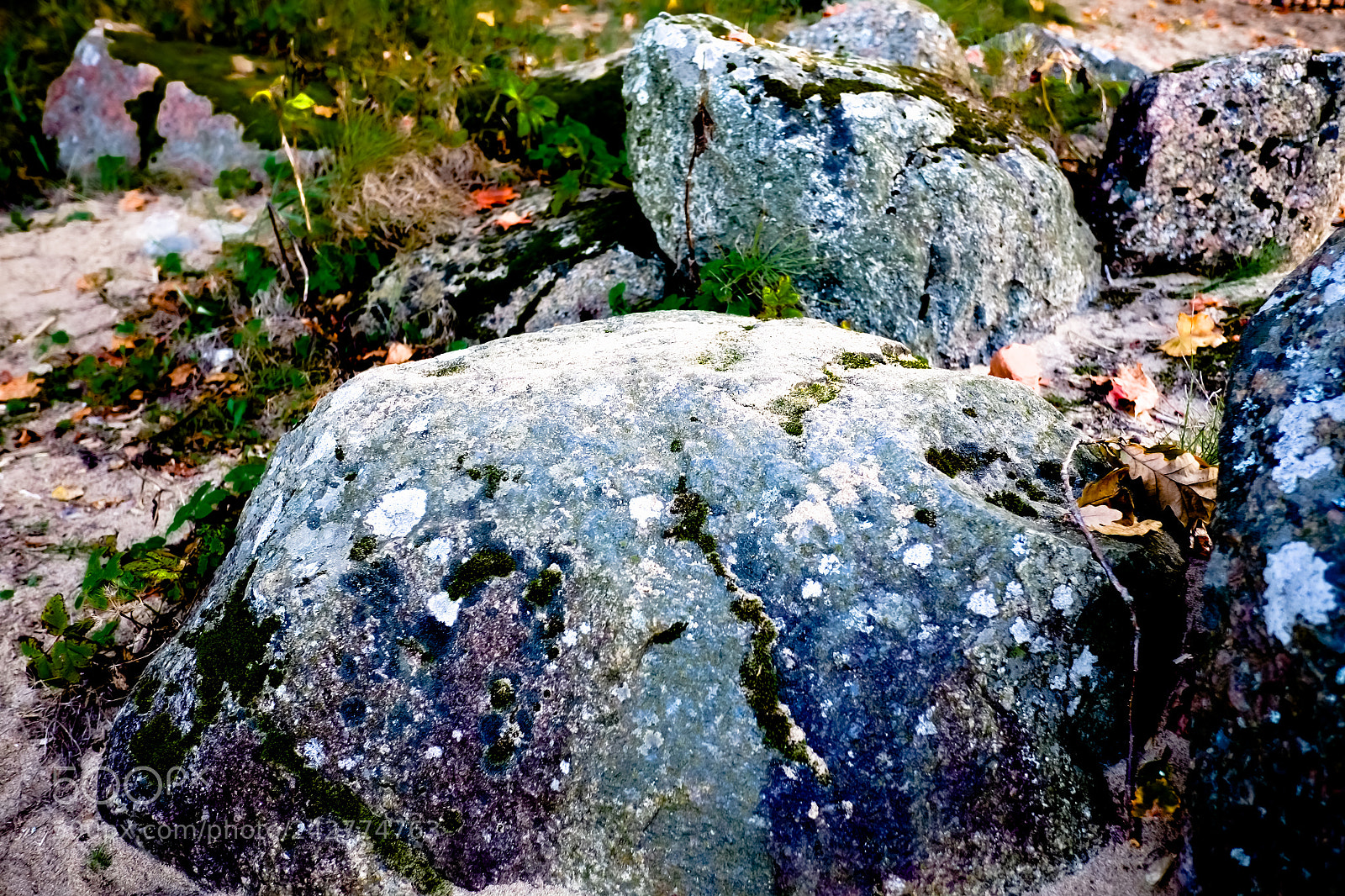 Fujifilm X-Pro1 sample photo. Planet in stone photography