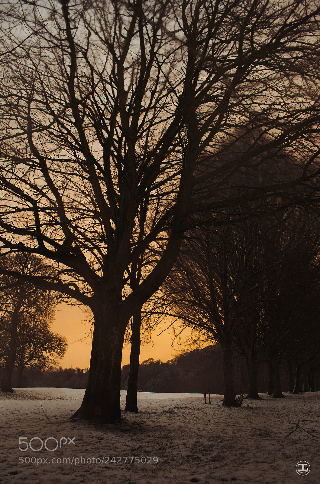 Nikon D5100 sample photo. Sunset at bothwell castle photography