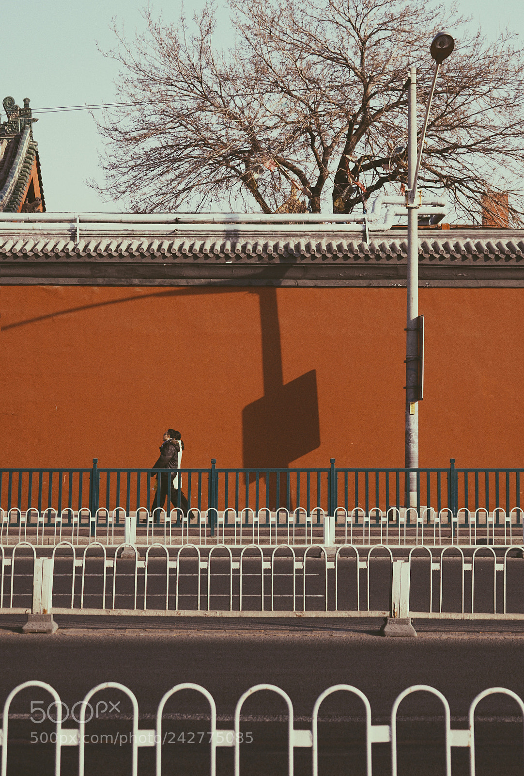 Sony a7 II sample photo. Untitled photography