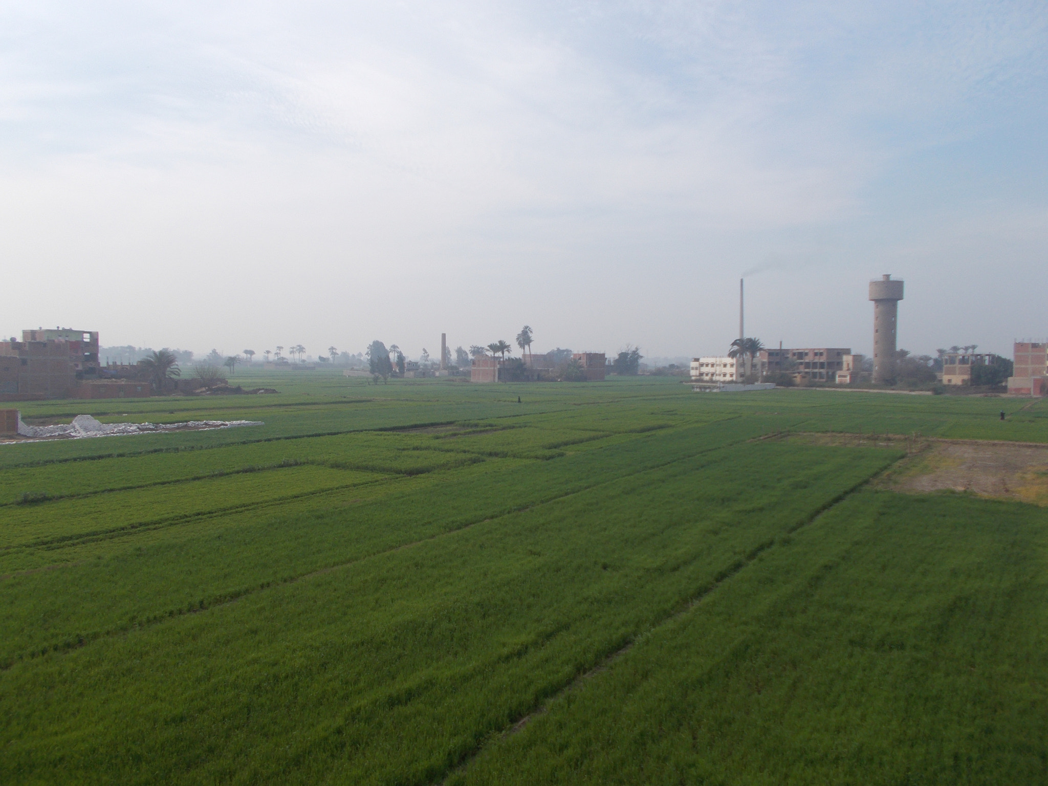 Nikon Coolpix L26 sample photo. Green egyptian fields photography