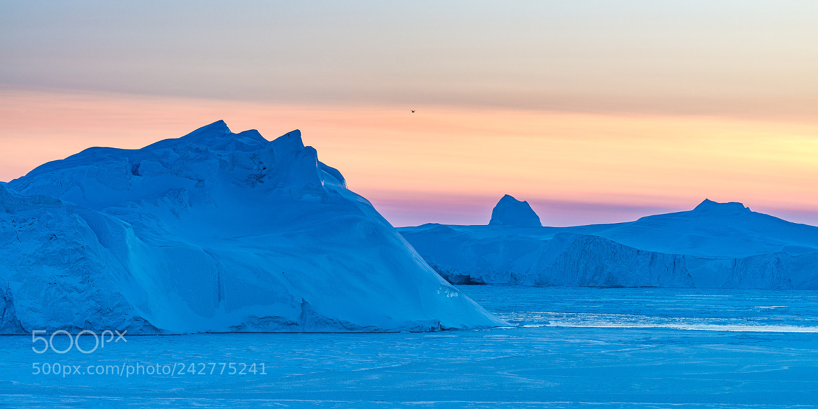 Nikon D800 sample photo. Sunset icebergs, frozen bay photography