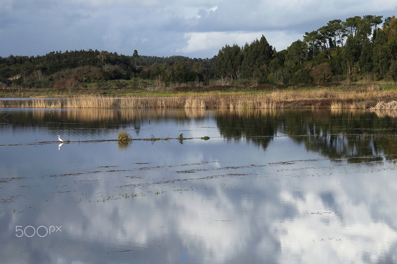 Canon EF 24-105mm F3.5-5.6 IS STM sample photo. Fields photography