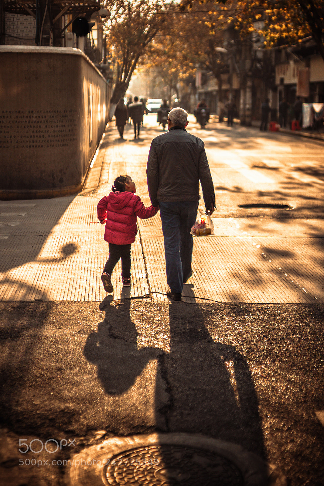 Sony a7 II sample photo. Going home  photography