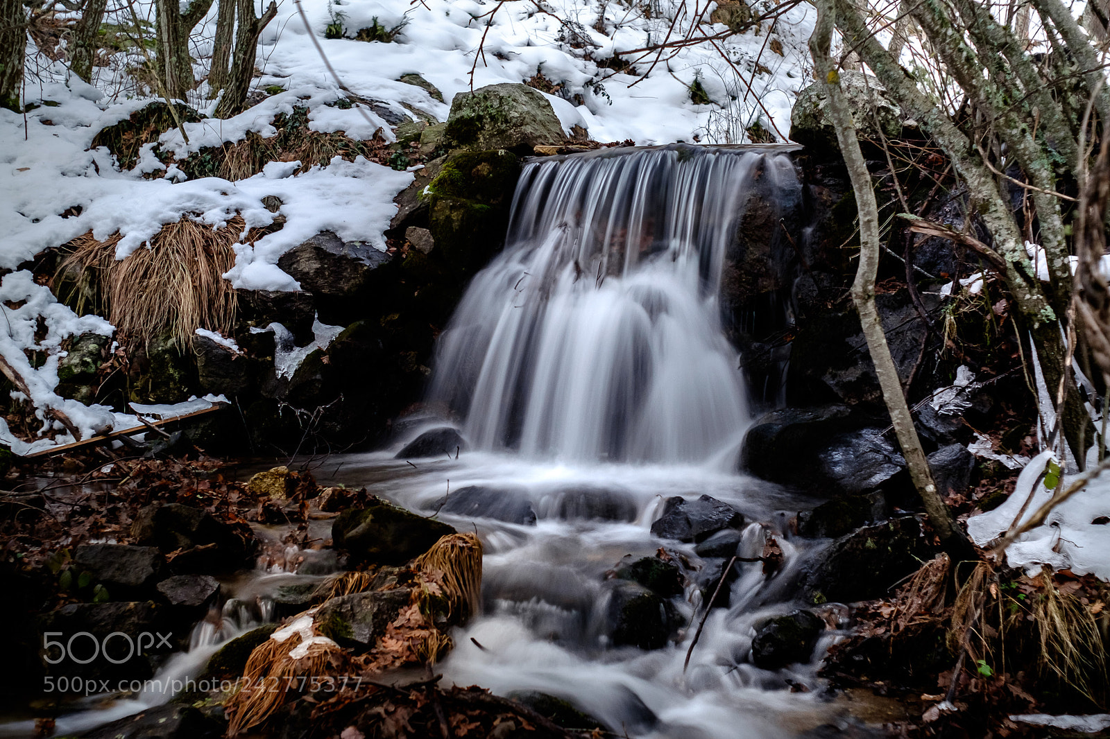 Fujifilm X-T1 sample photo. Invierno photography