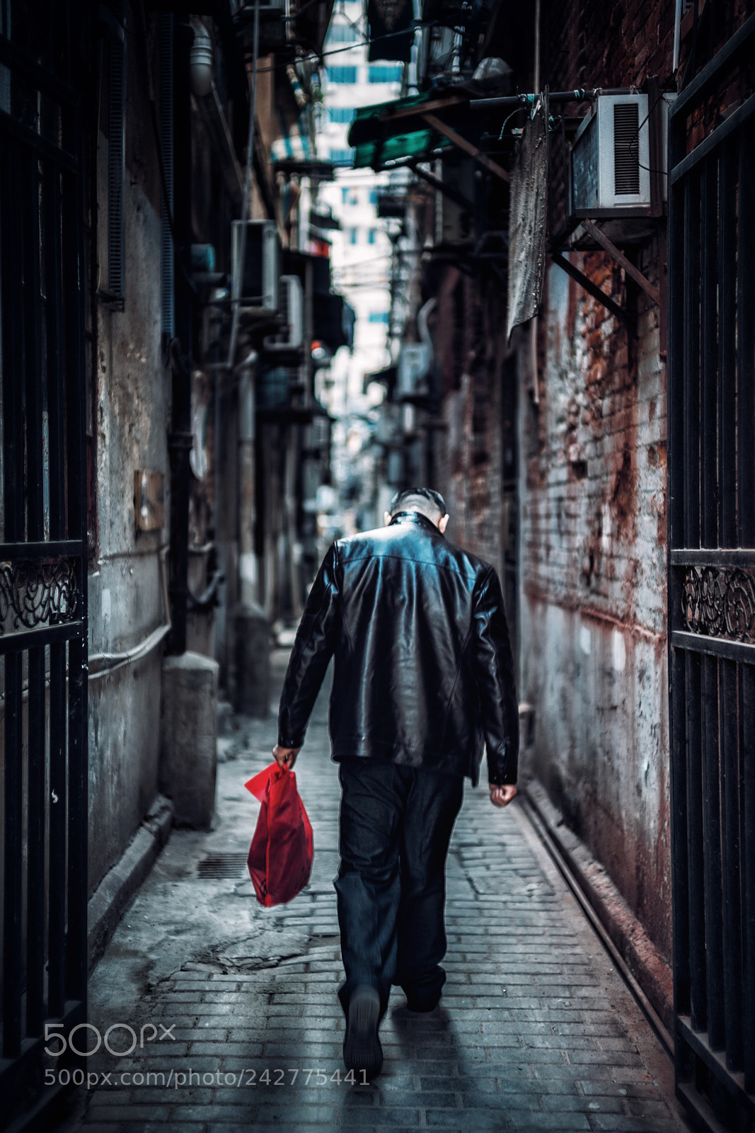 Sony a7 II sample photo. Going home  photography