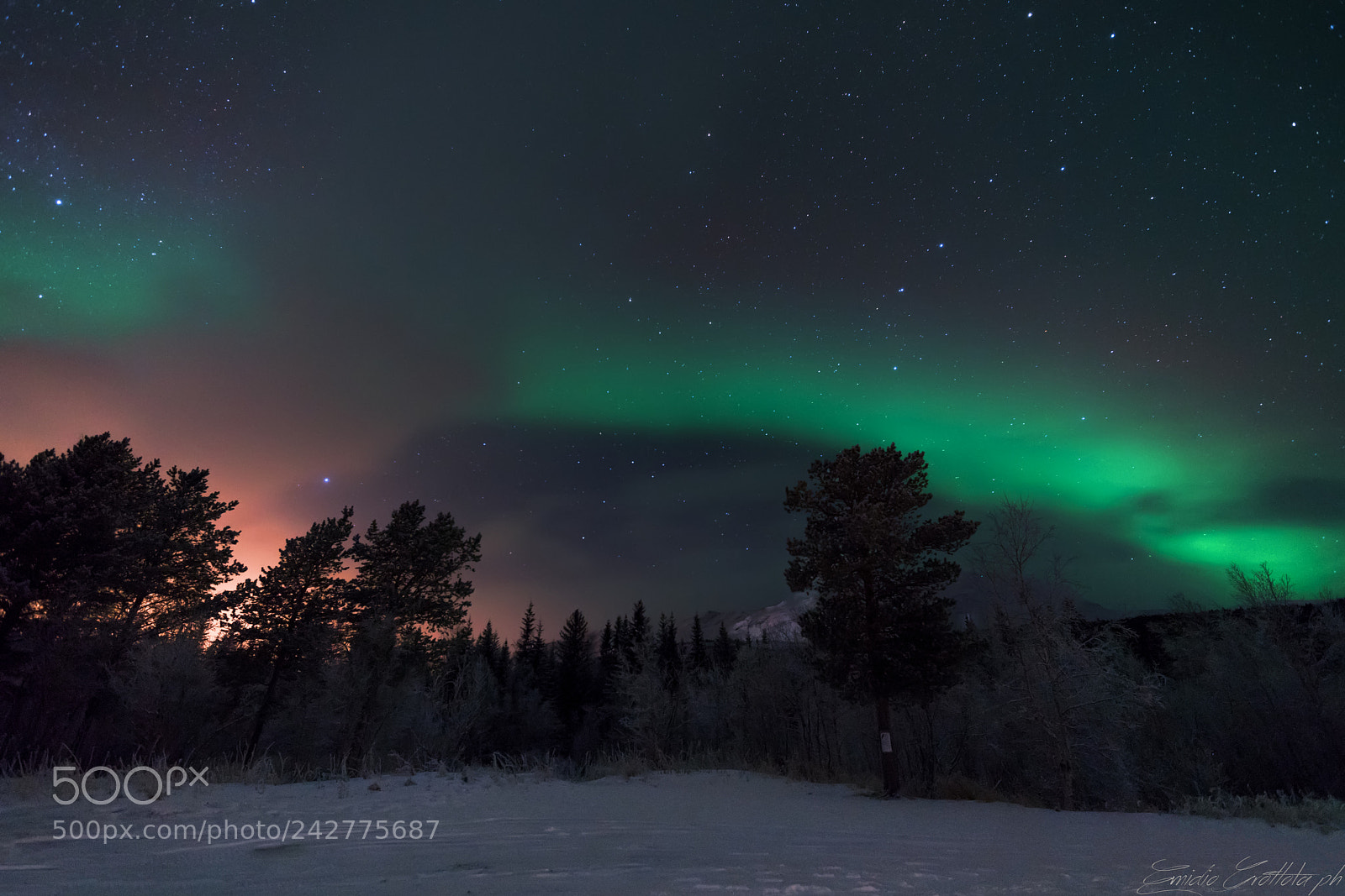 Sony a99 II sample photo. Northern light tromso photography