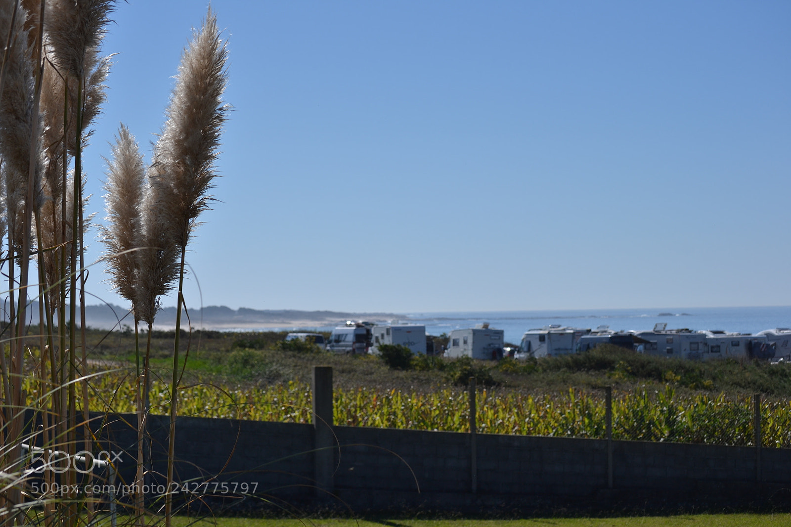 Nikon D3100 sample photo. () photography