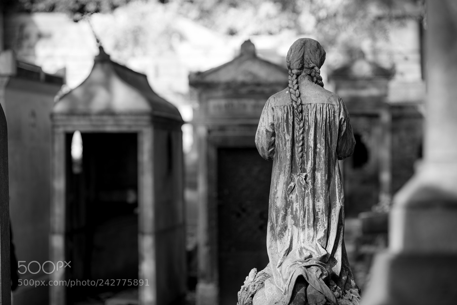 Nikon D850 sample photo. In memoriam photography