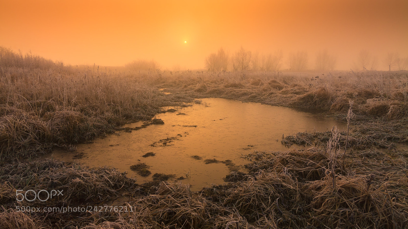 Canon EOS 50D sample photo. Winter light photography