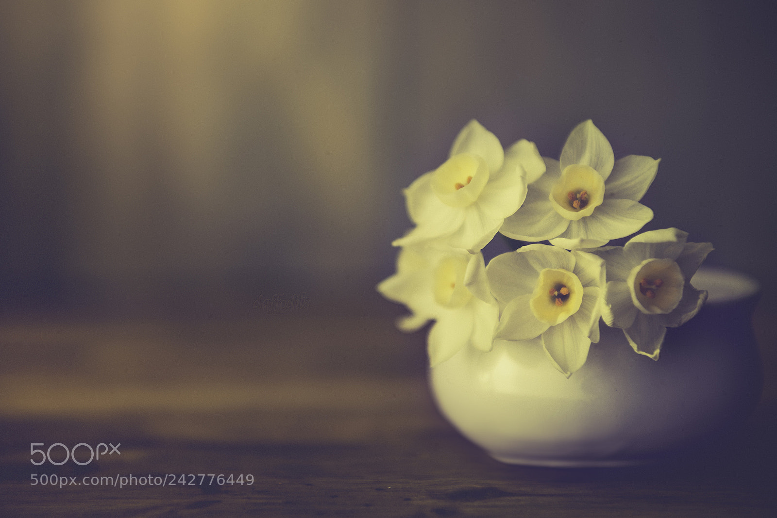 Nikon D600 sample photo. Daffodils photography