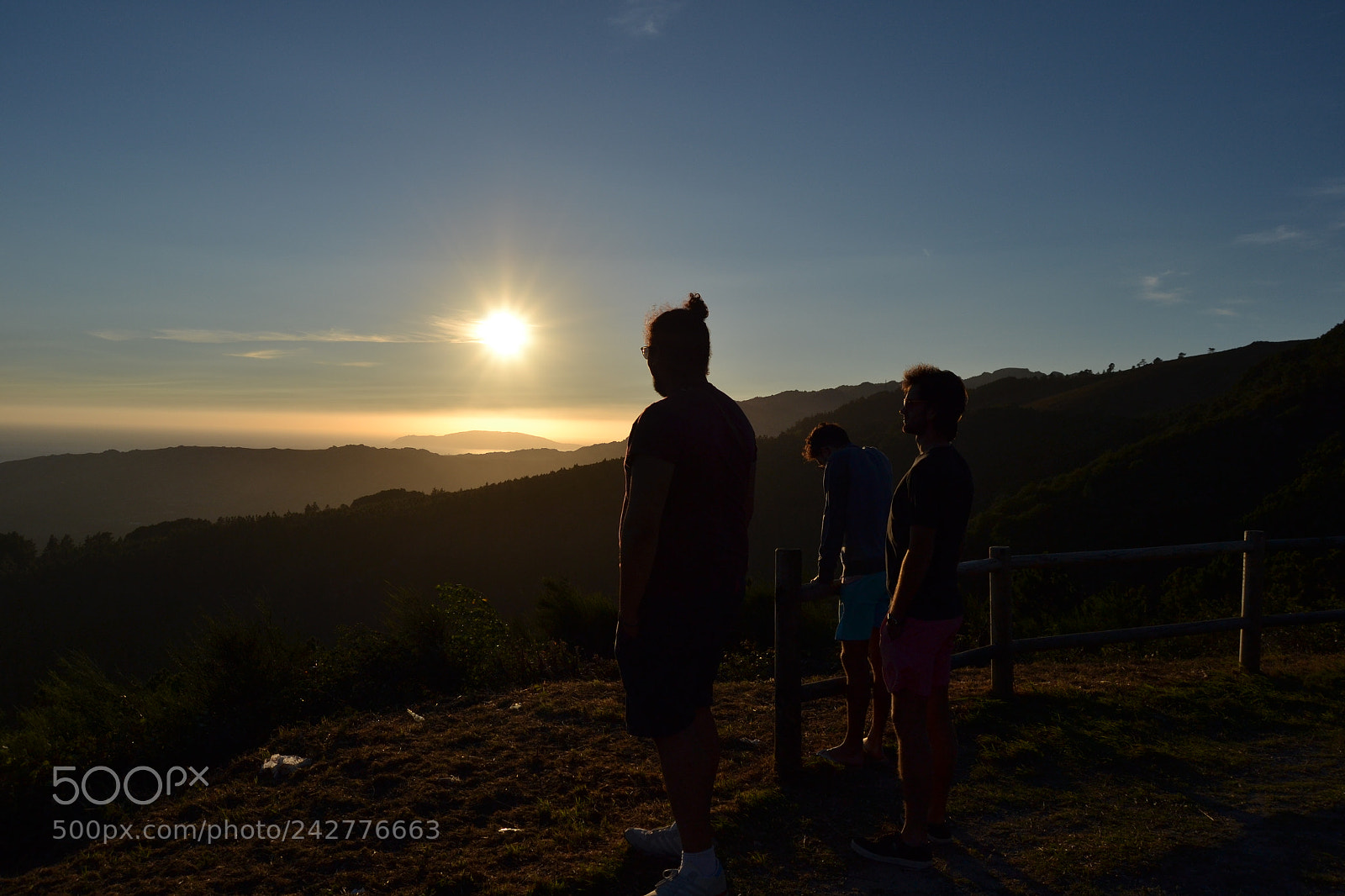 Nikon D3100 sample photo. Dsc photography