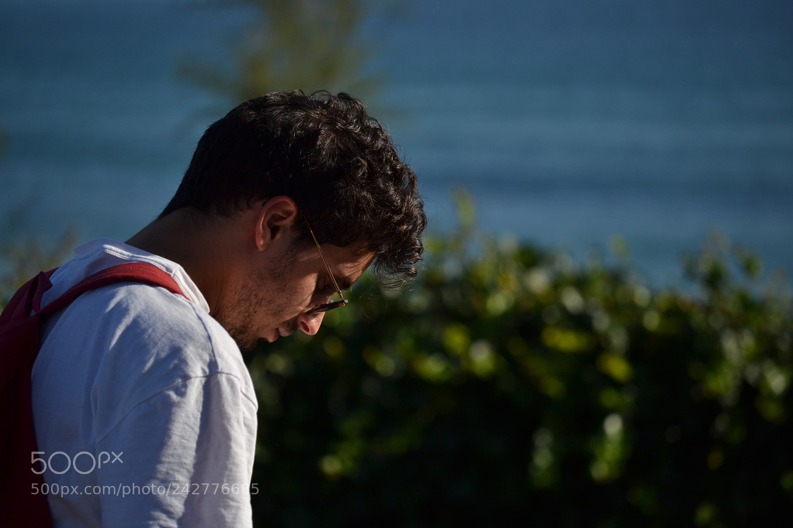 Nikon D3100 sample photo. Dsc photography
