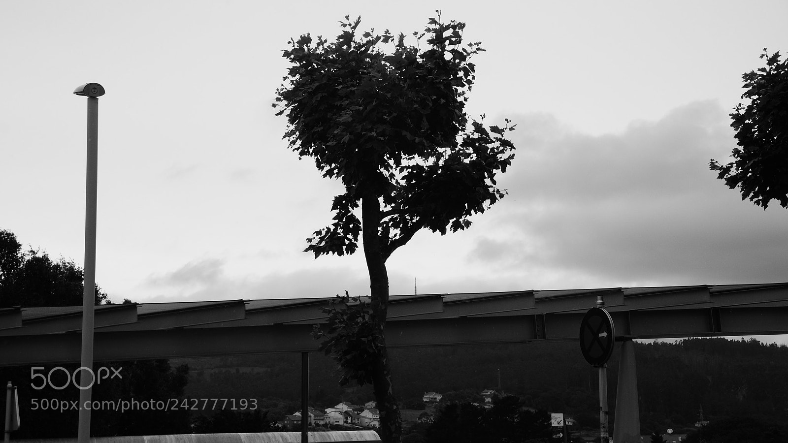 Sony Alpha NEX-7 sample photo. Dsc photography