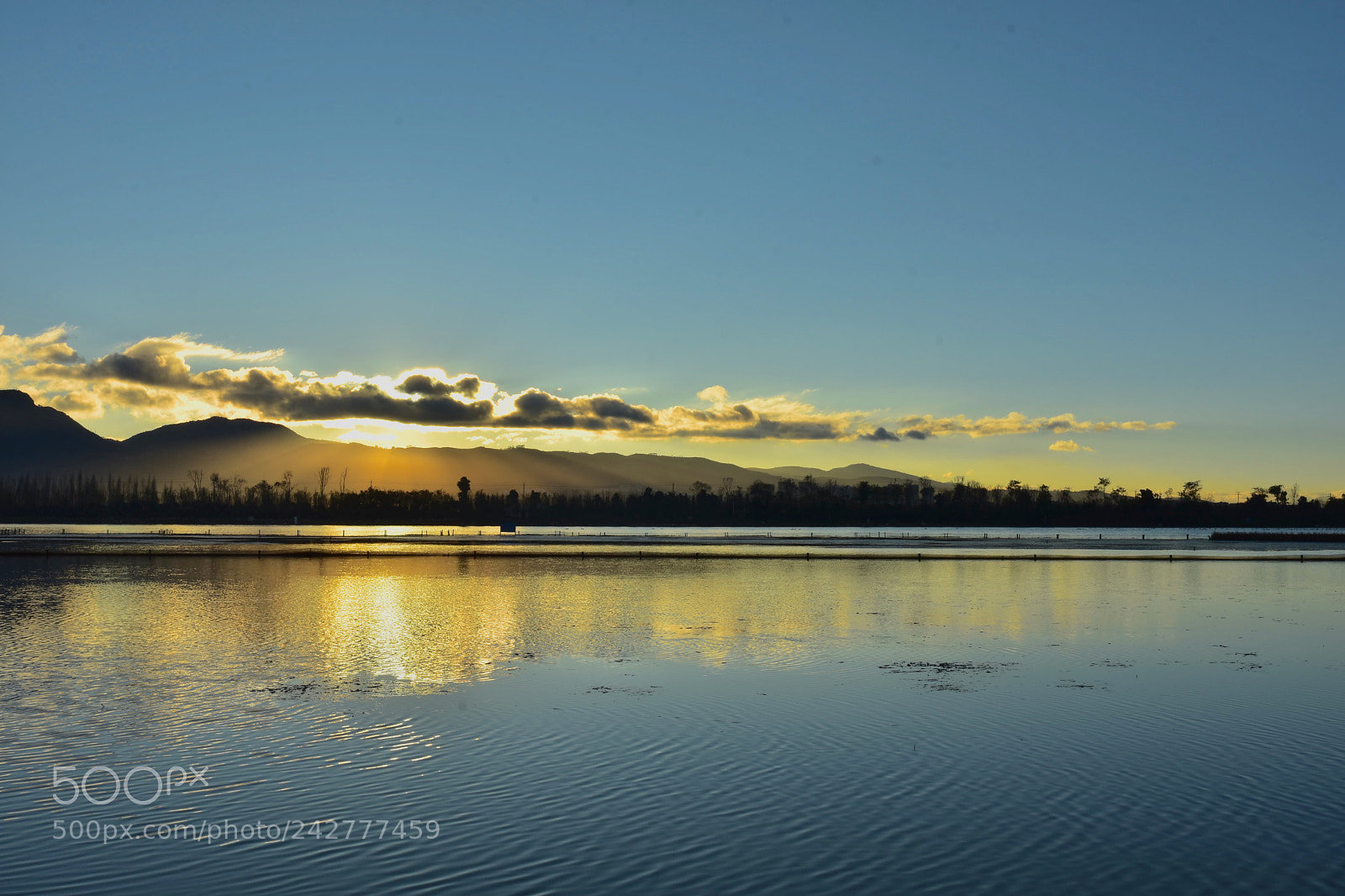 Nikon D7200 sample photo. The rising sun photography