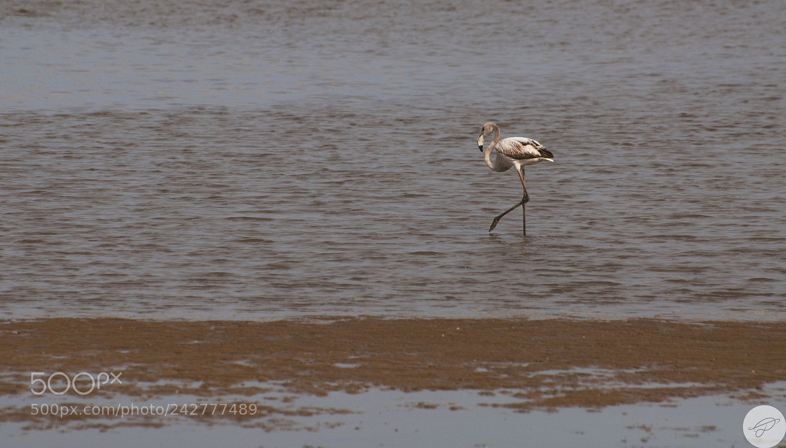 Nikon D90 sample photo. Posture of lonelyness! photography