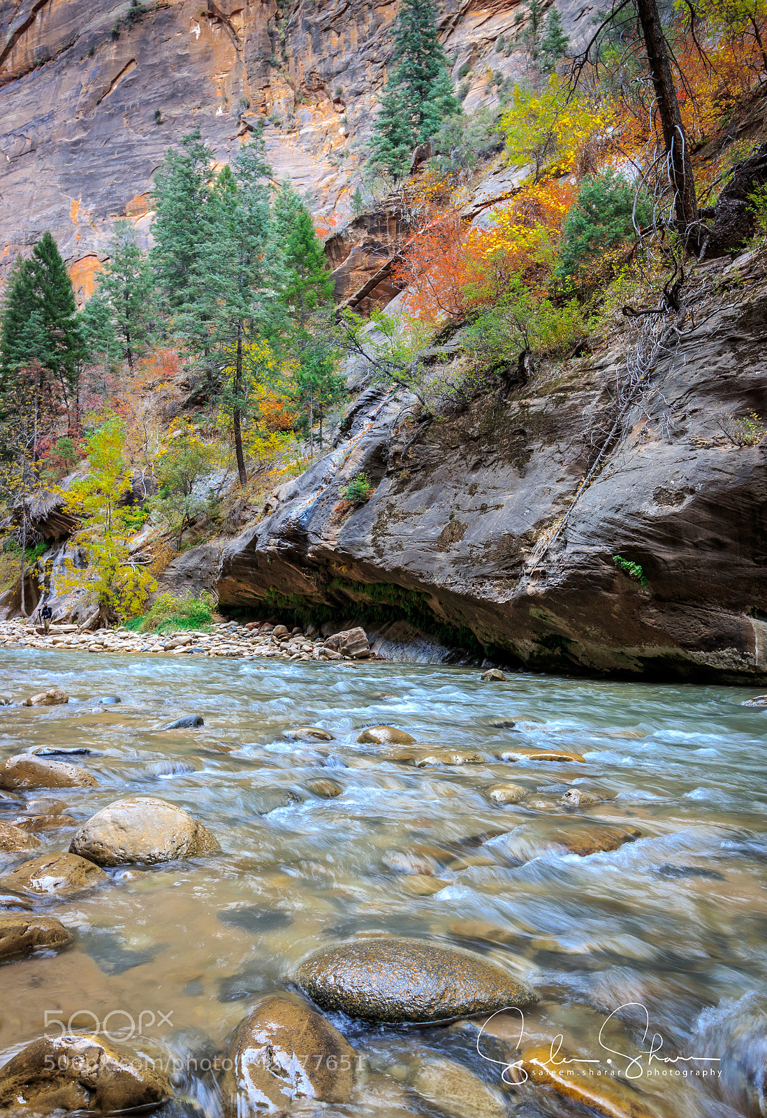 Canon EOS 700D (EOS Rebel T5i / EOS Kiss X7i) sample photo. This is zion... photography