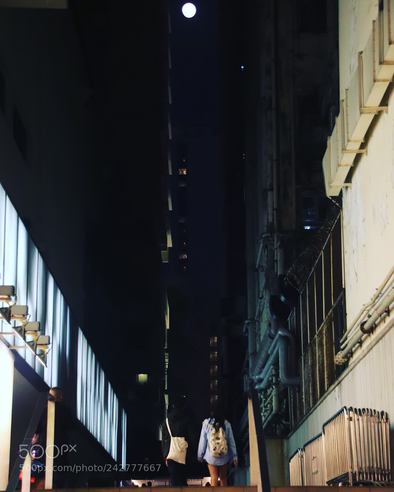 Canon EOS 77D (EOS 9000D / EOS 770D) sample photo. Under the moon photography