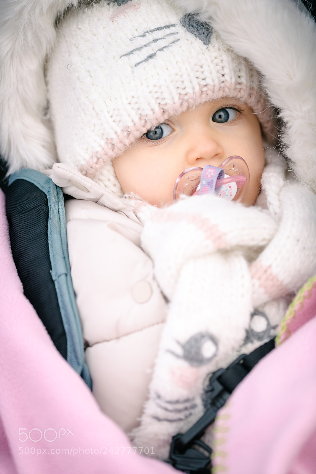 Nikon D850 sample photo. Bien au chaud photography