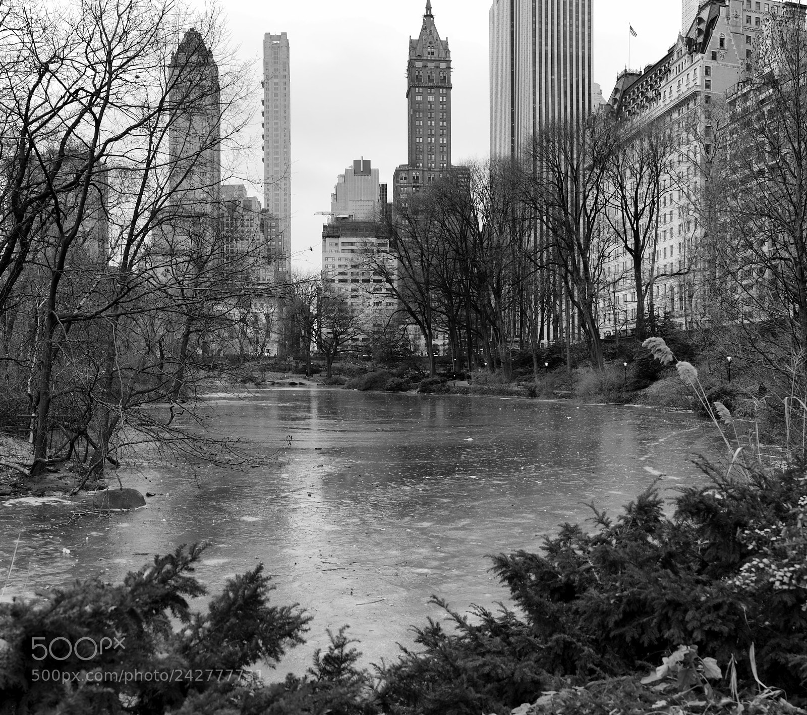 Sony Cyber-shot DSC-RX1R II sample photo. The ice covered pond photography