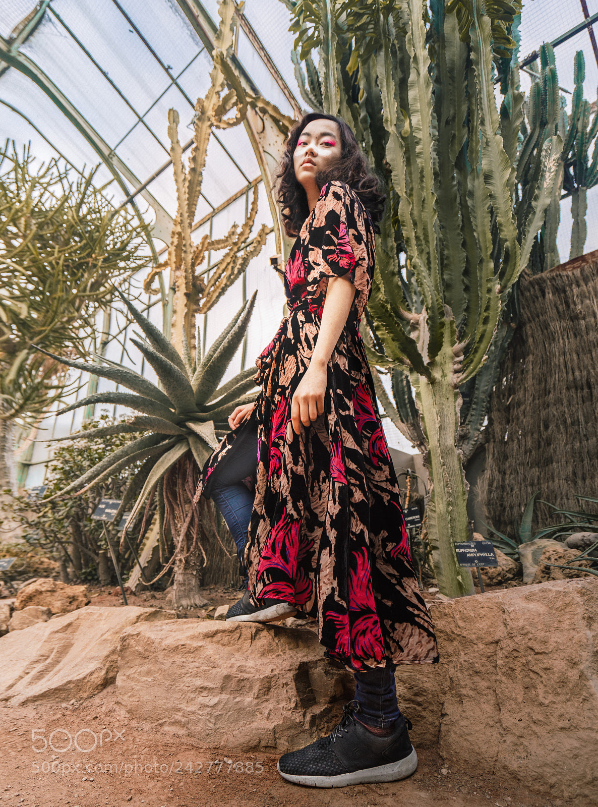 Sony a7 II sample photo. Desert i photography