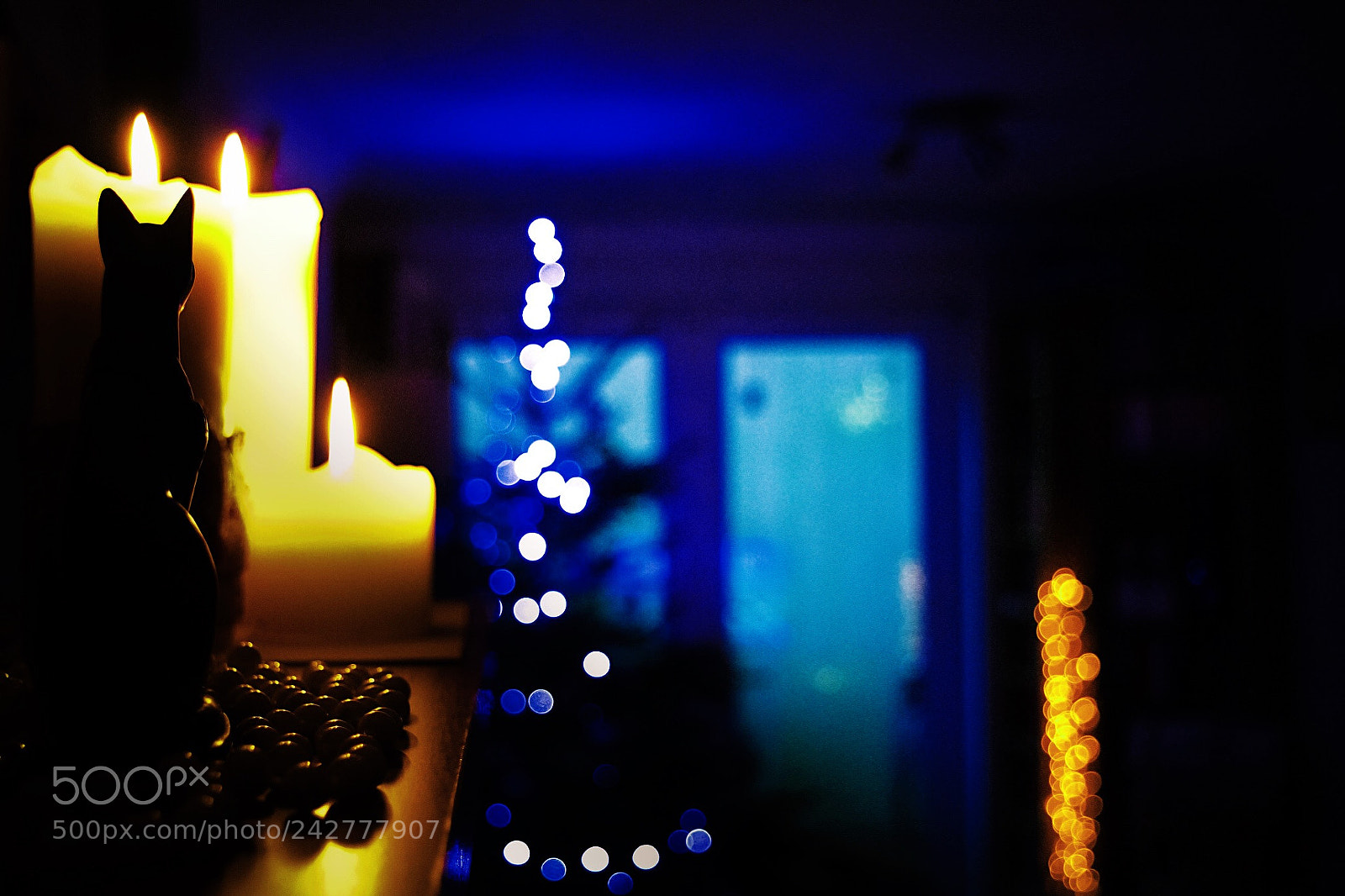 Nikon D7200 sample photo. Darkroom photography
