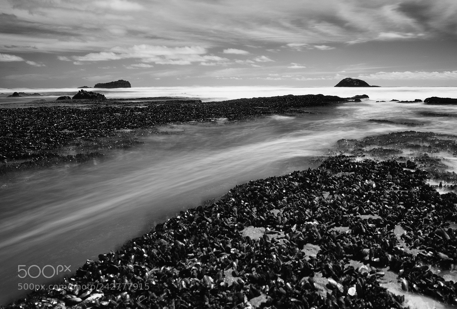 Nikon D5500 sample photo. Out to sea photography