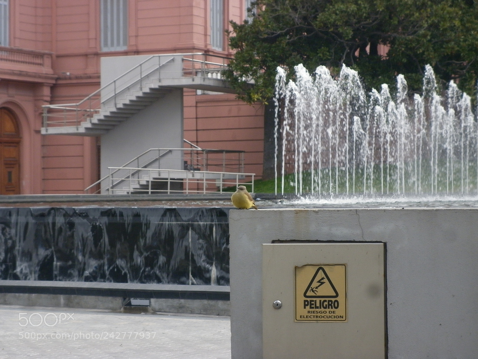 Panasonic DMC-F3 sample photo. Casa rosada photography