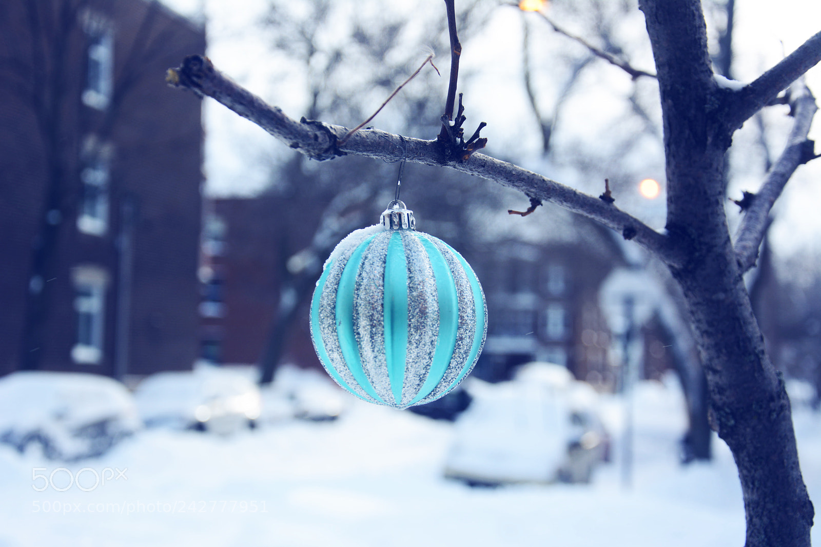 Nikon D7100 sample photo. Winter time in montreal photography