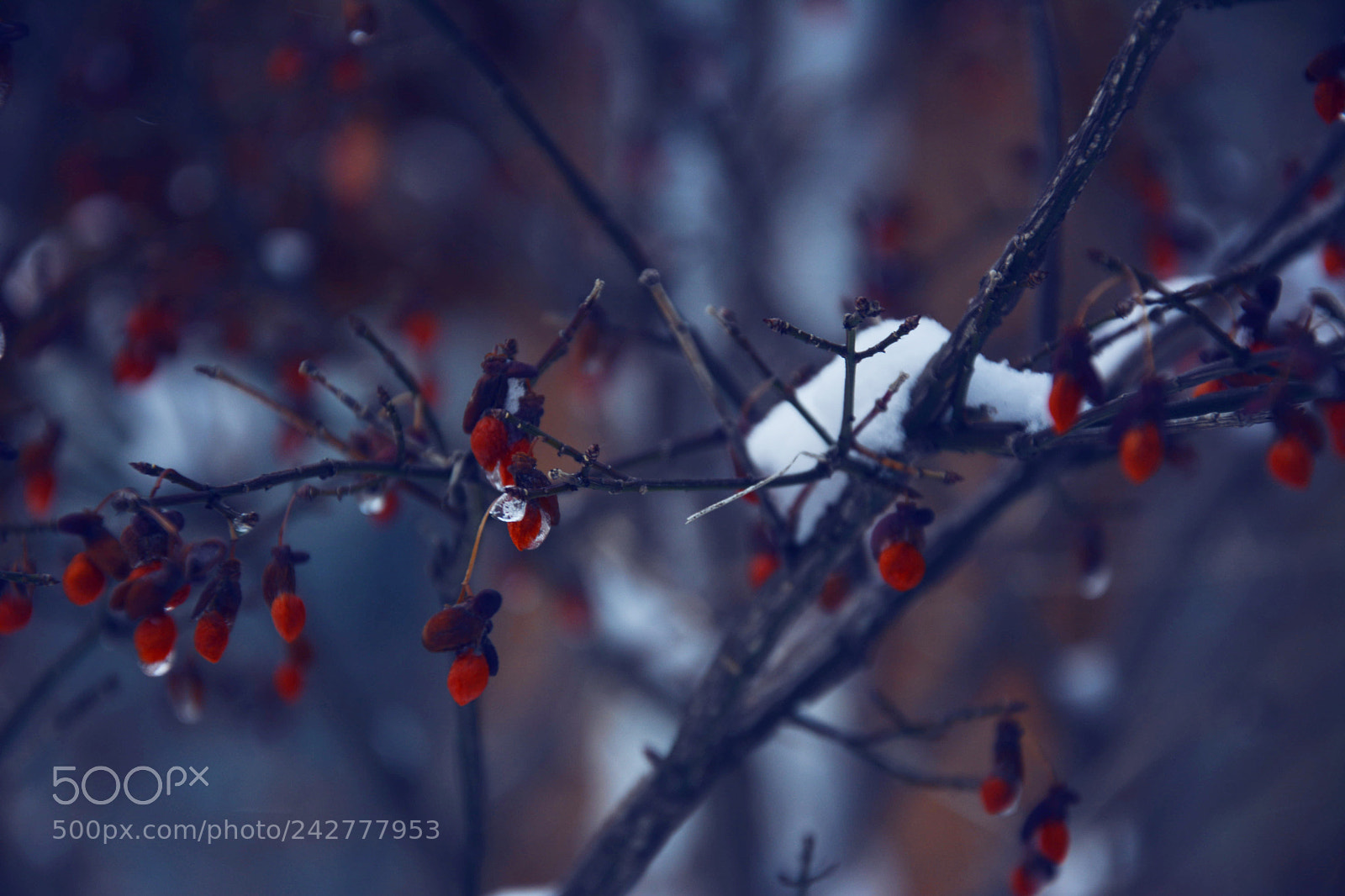 Nikon D7100 sample photo. Winter time in montreal photography