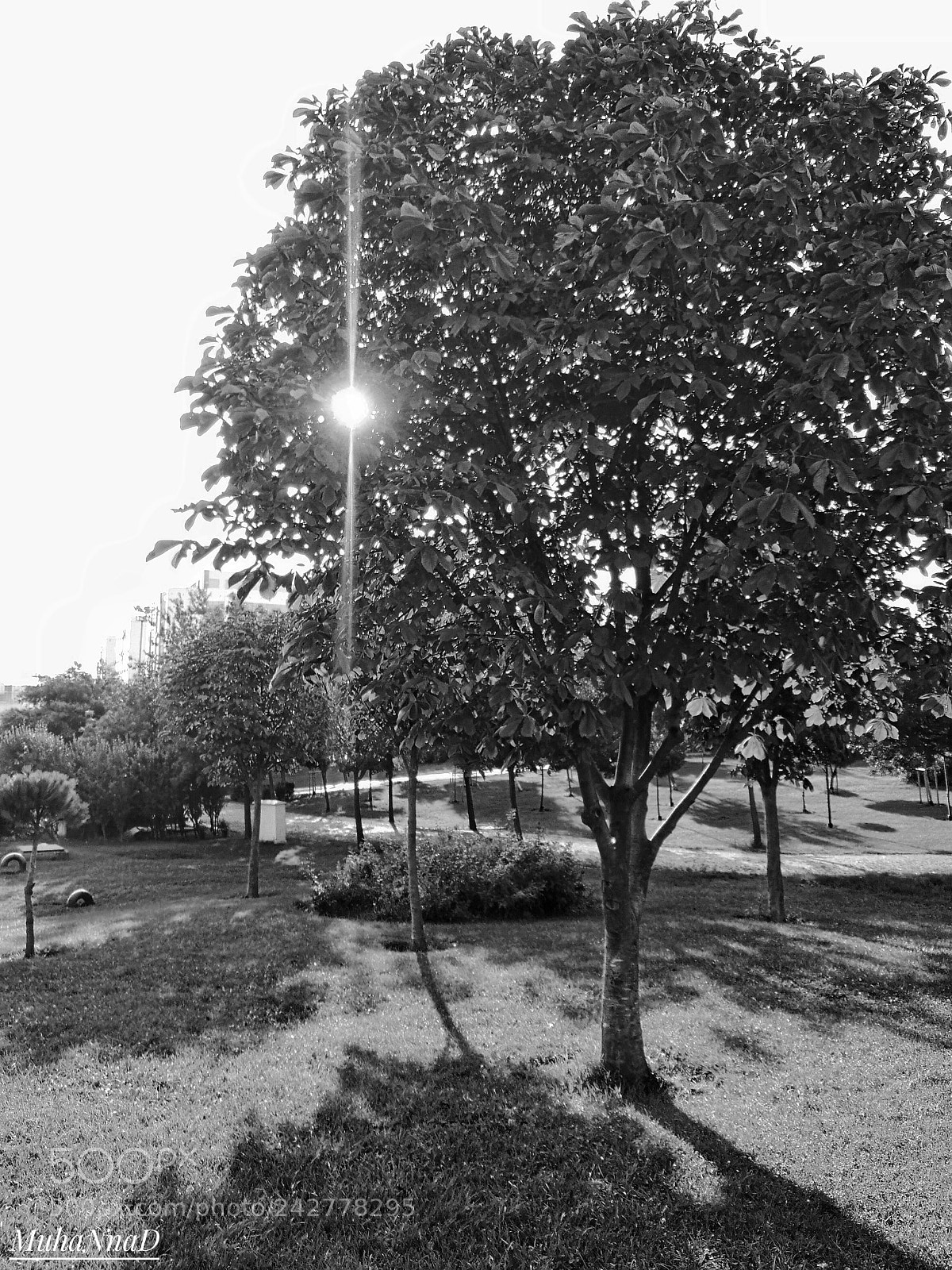 HUAWEI P9 sample photo. Untitled photography