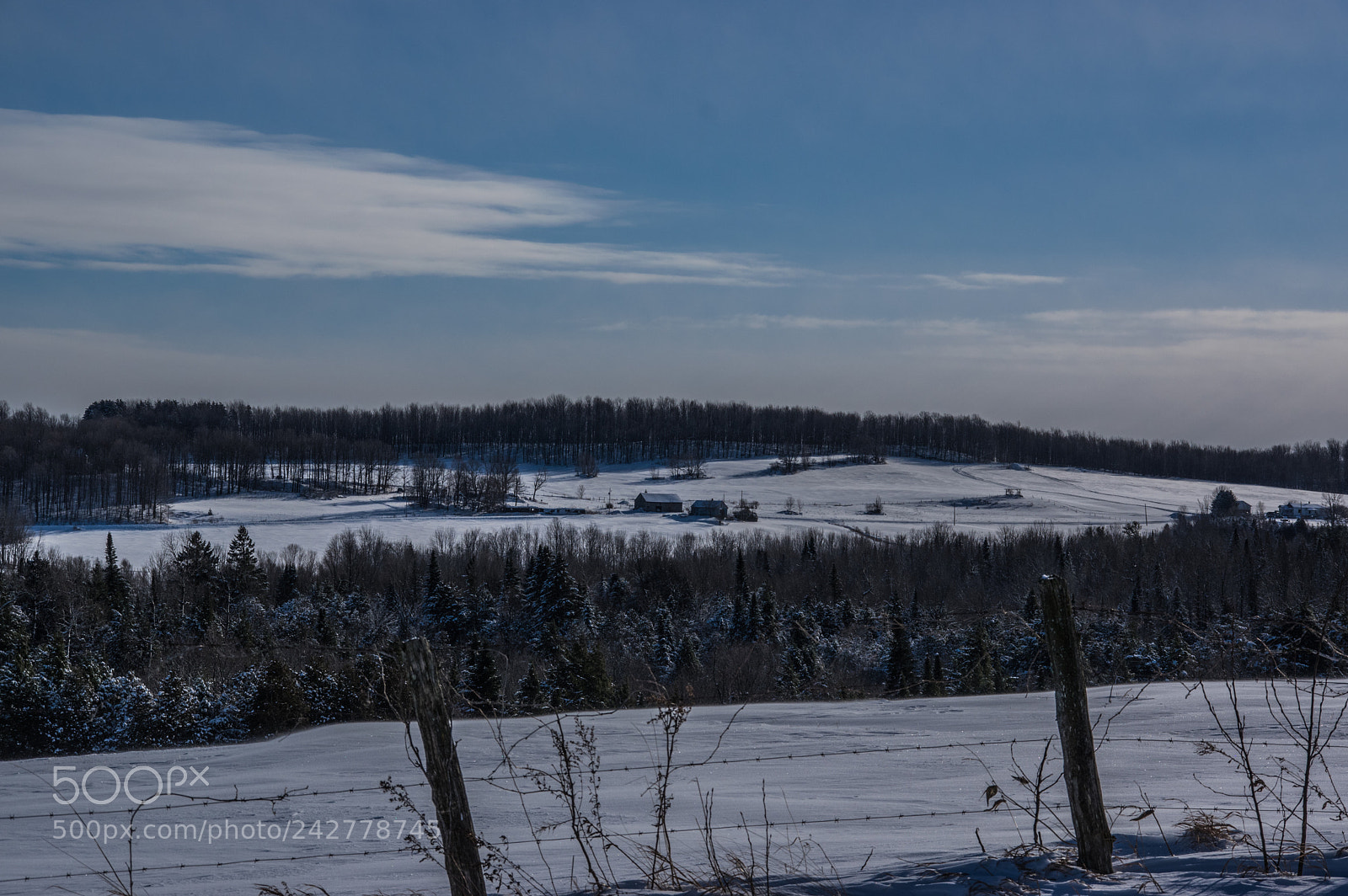 Pentax K-3 II sample photo. Away... photography