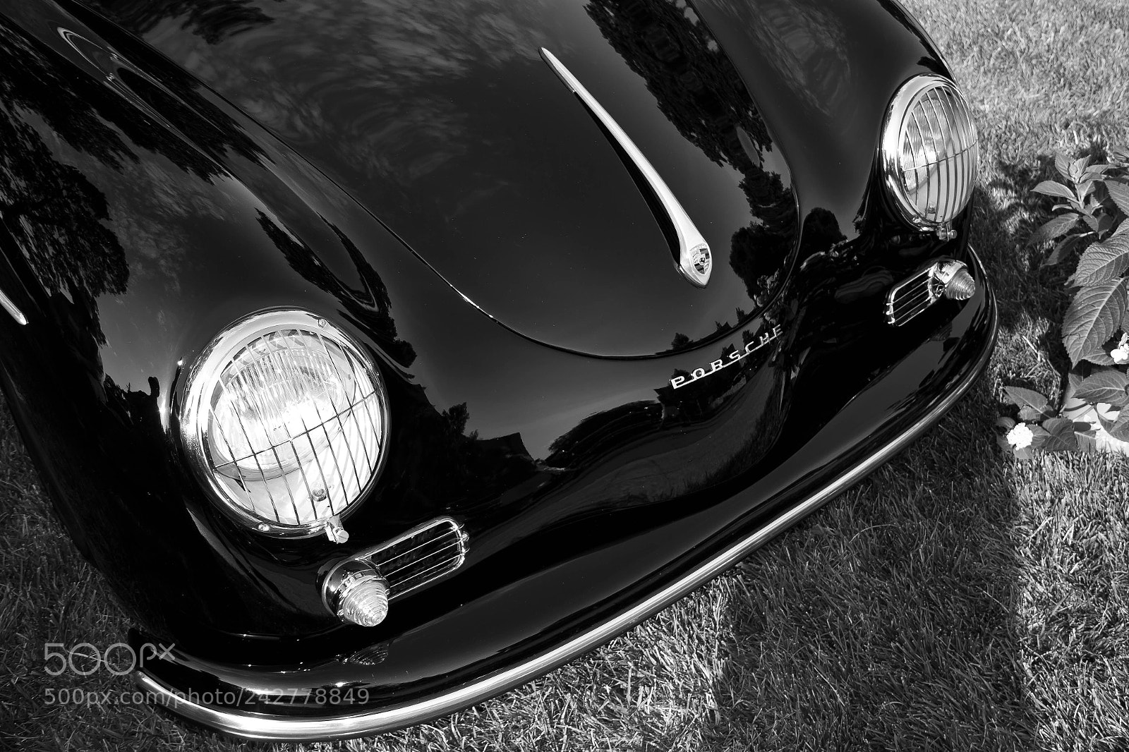 Canon EOS 60D sample photo. Img photography