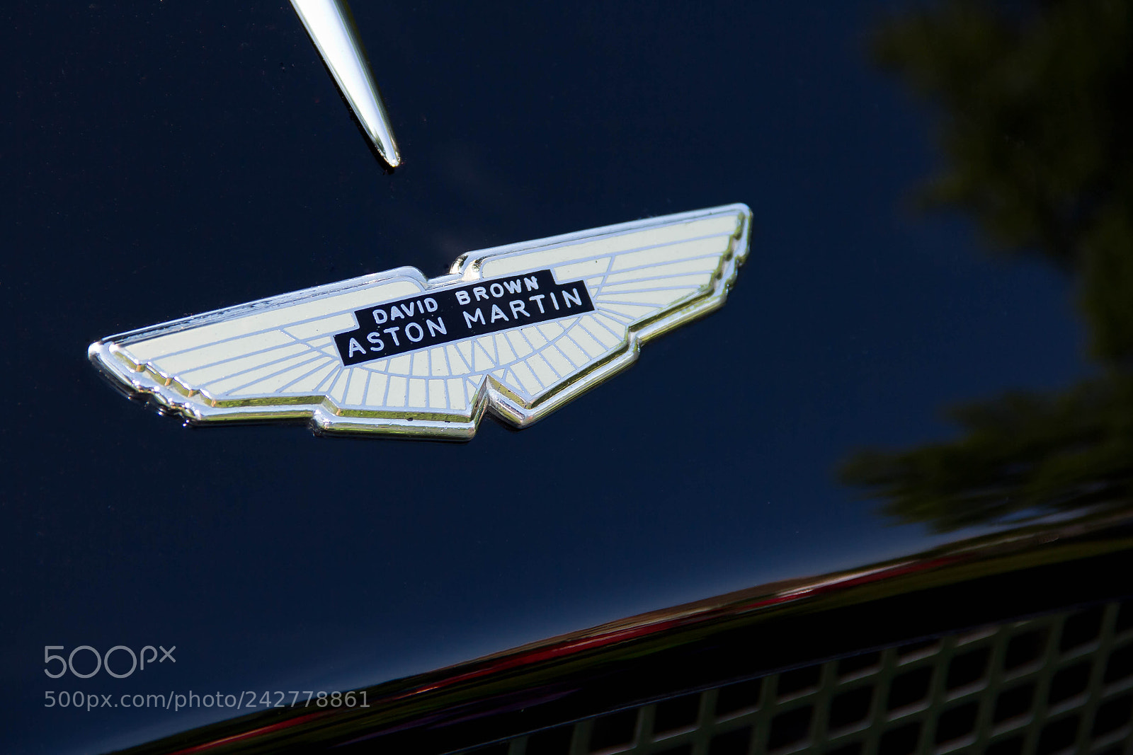 Canon EOS 60D sample photo. Img photography