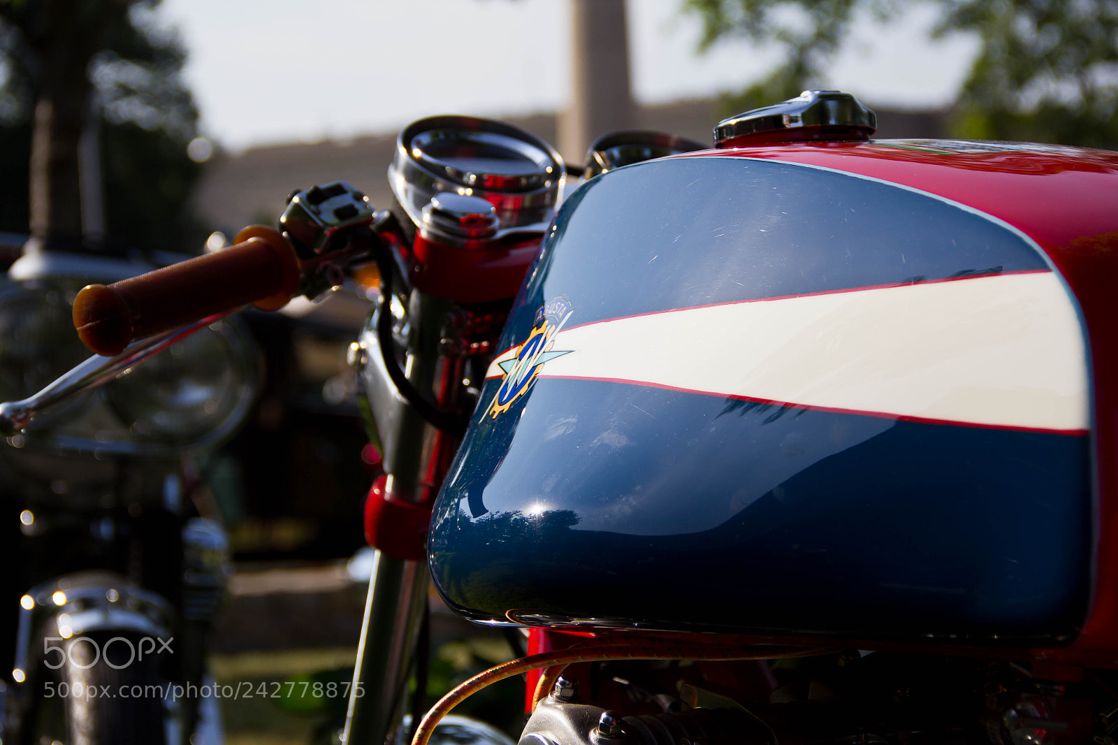 Canon EOS 60D sample photo. Augusta photography