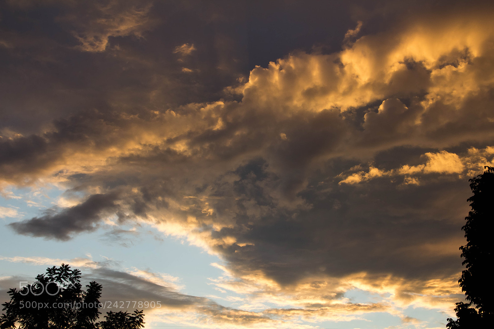 Canon EOS 60D sample photo. Img photography