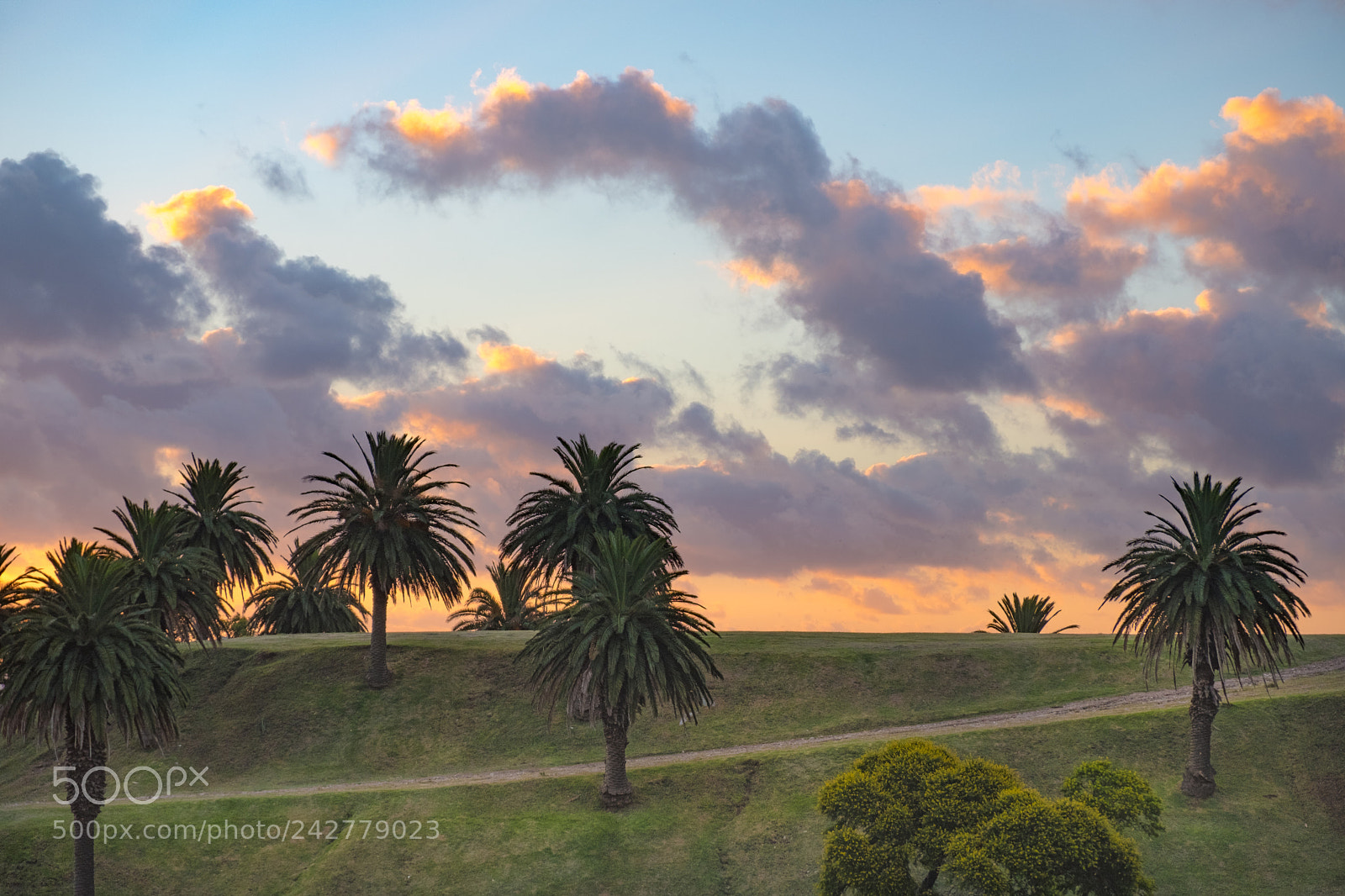 Fujifilm X-T20 sample photo. Canteras parque rodo photography