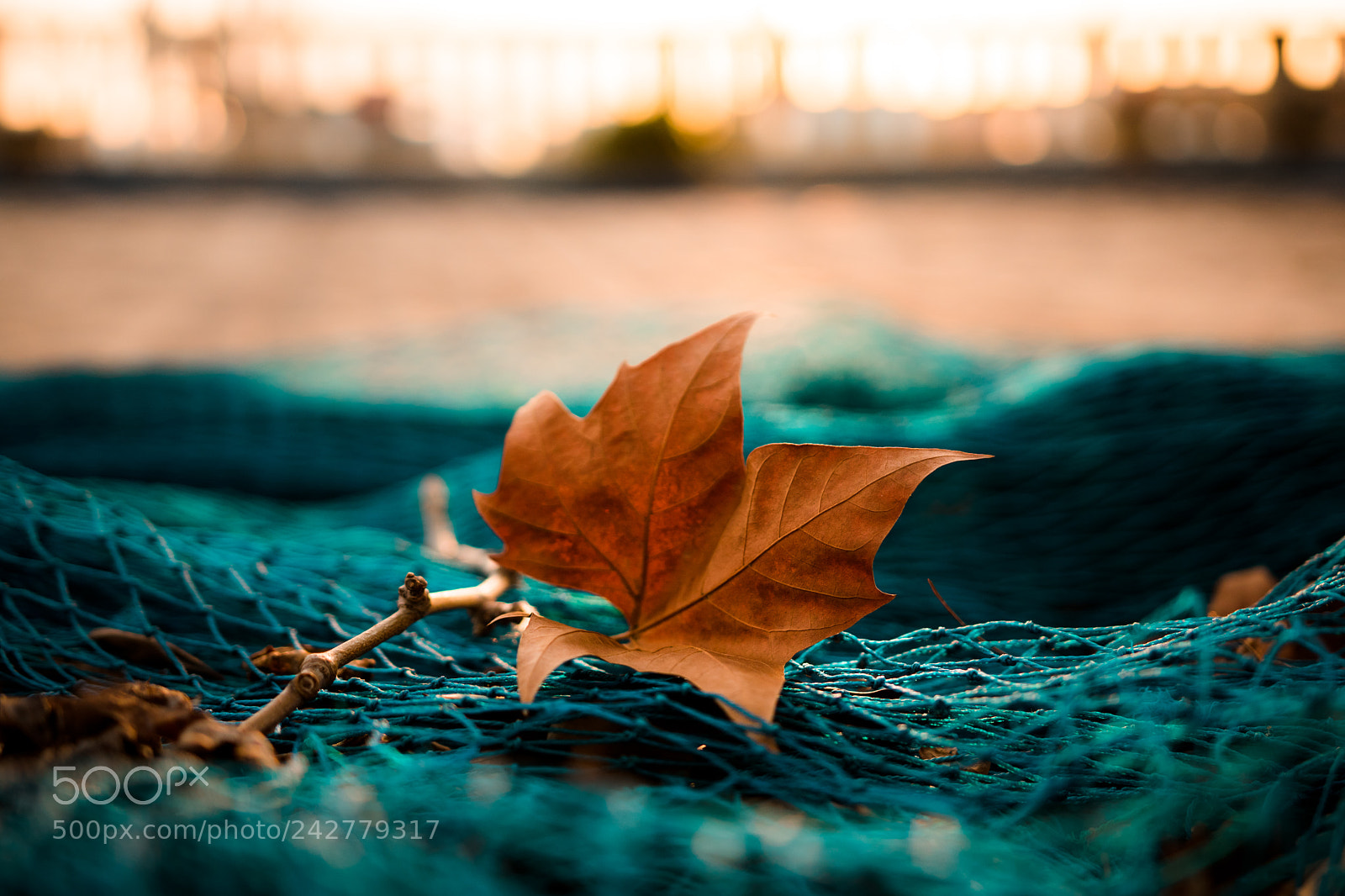 Sony a6500 sample photo. La lonja - palma photography