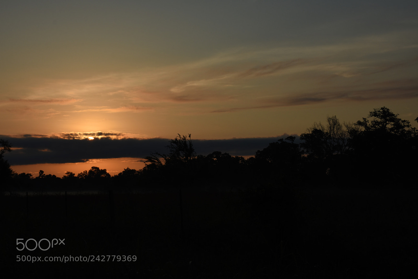 Nikon D7200 sample photo. A new dawn photography
