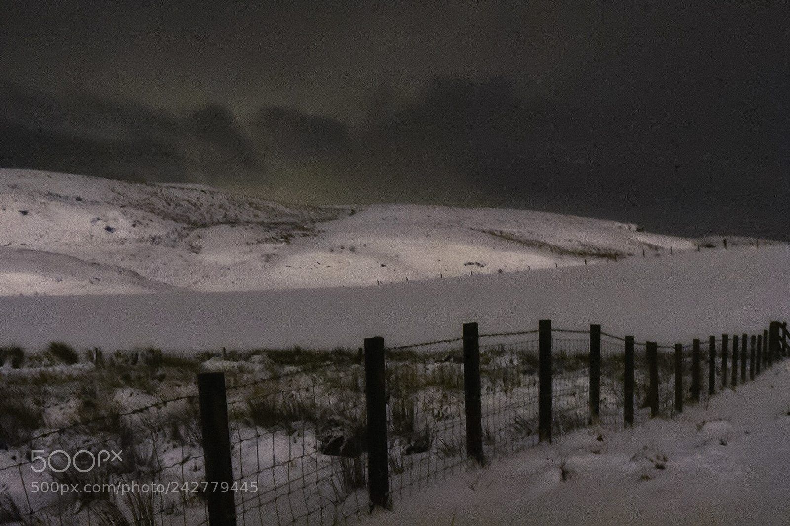 Nikon D7200 sample photo. Snow storm heading this photography