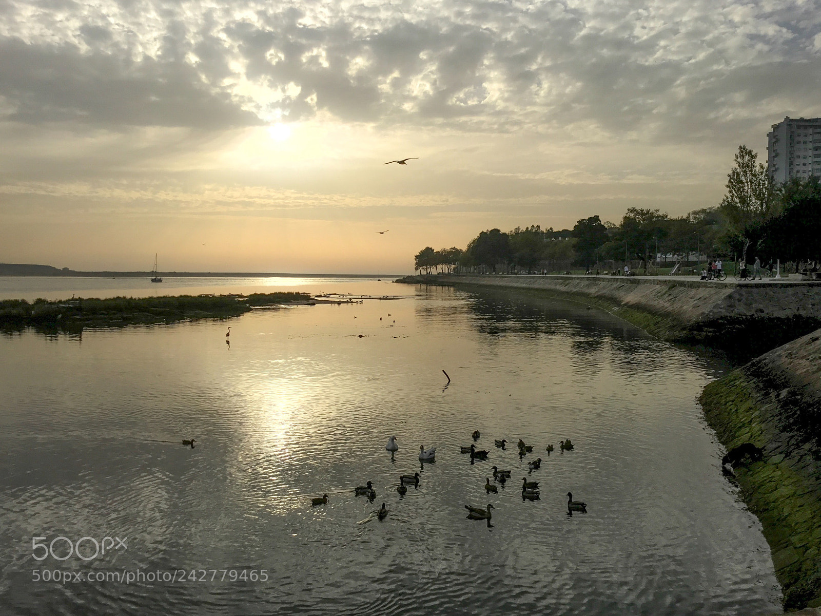 Apple iPad Pro sample photo. Porto, portugal photography