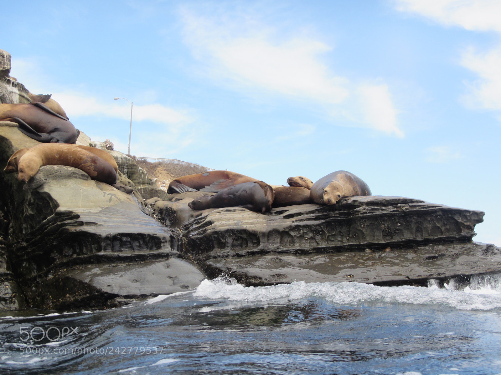 Canon PowerShot D30 sample photo. California wildlife photography