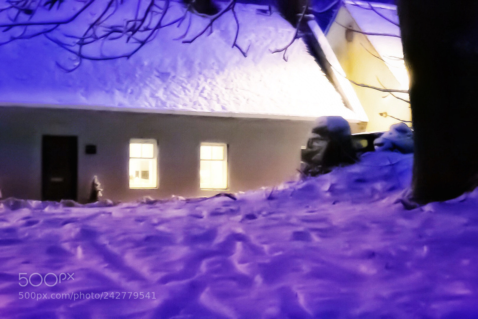 Nikon D7200 sample photo. Snow dream photography