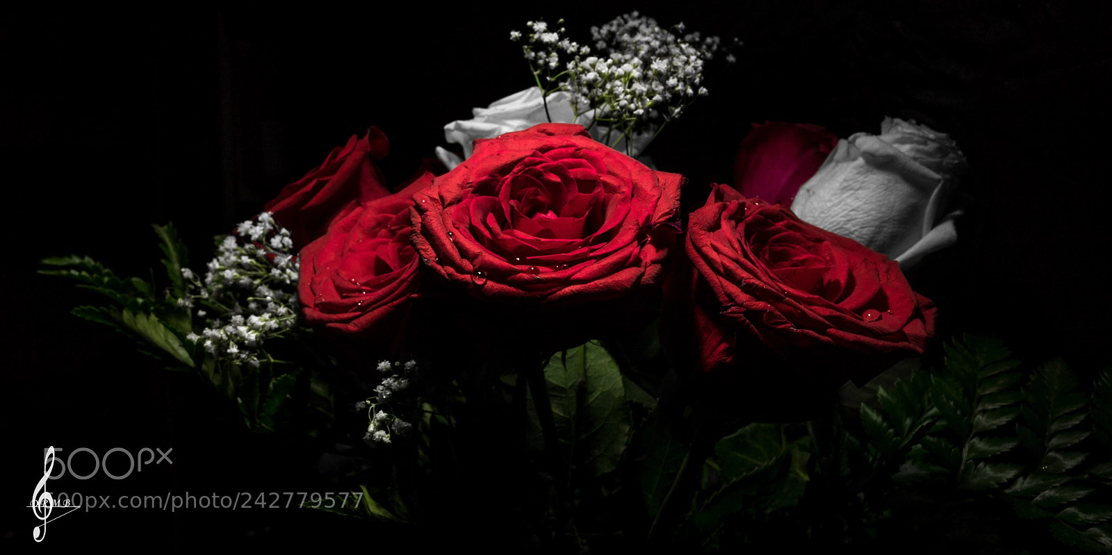Sony Cyber-shot DSC-RX10 II sample photo. Roses photography