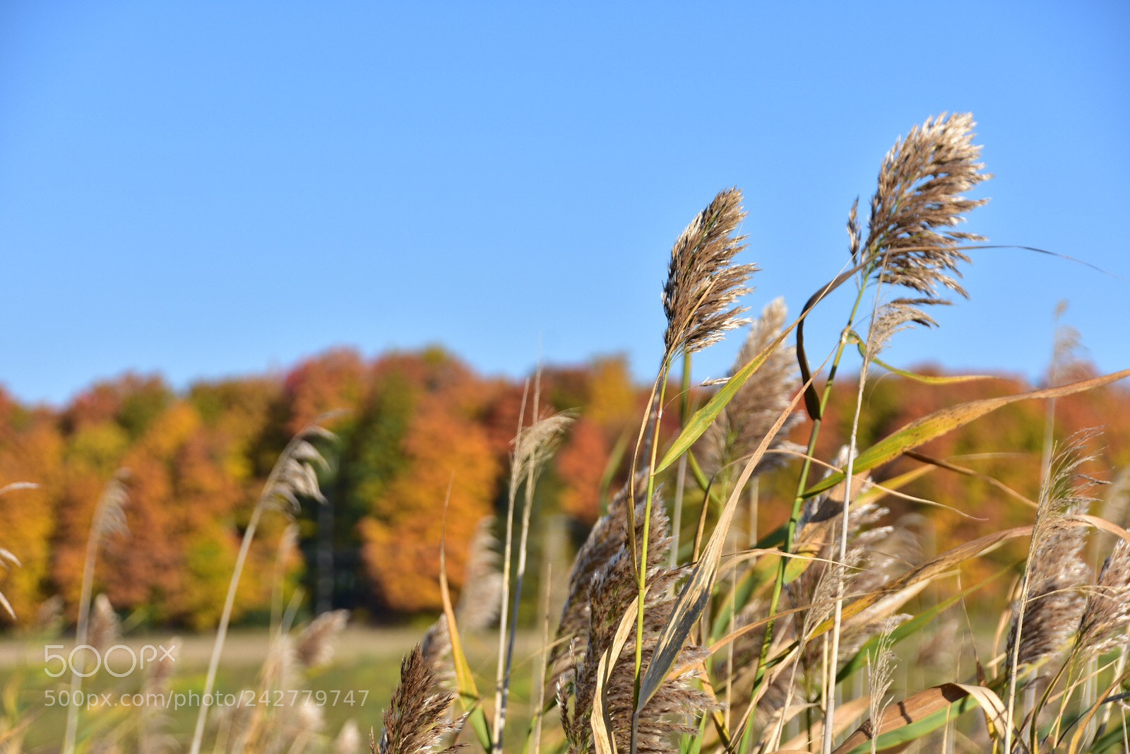 Nikon D7200 sample photo. Untitled photography