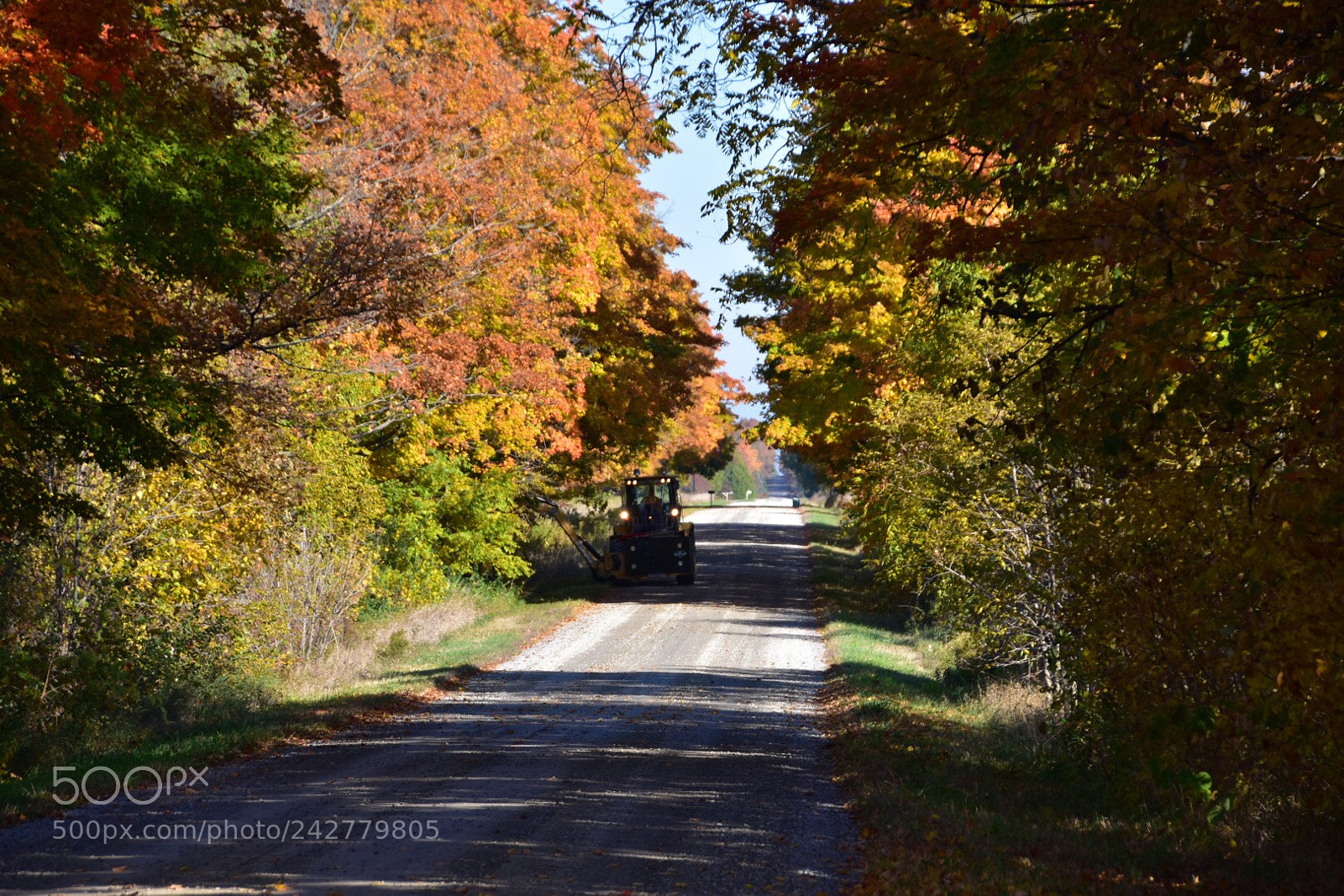 Nikon D7200 sample photo. Untitled photography