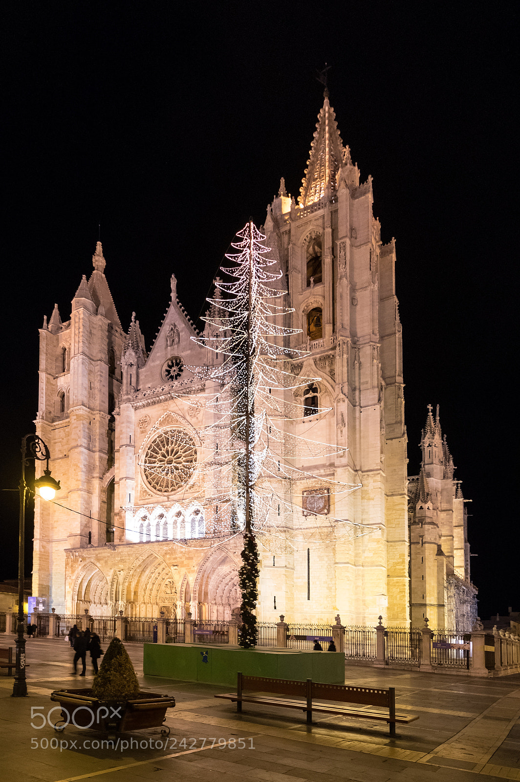Pentax K-3 II sample photo. Cathedral and christmas tree photography