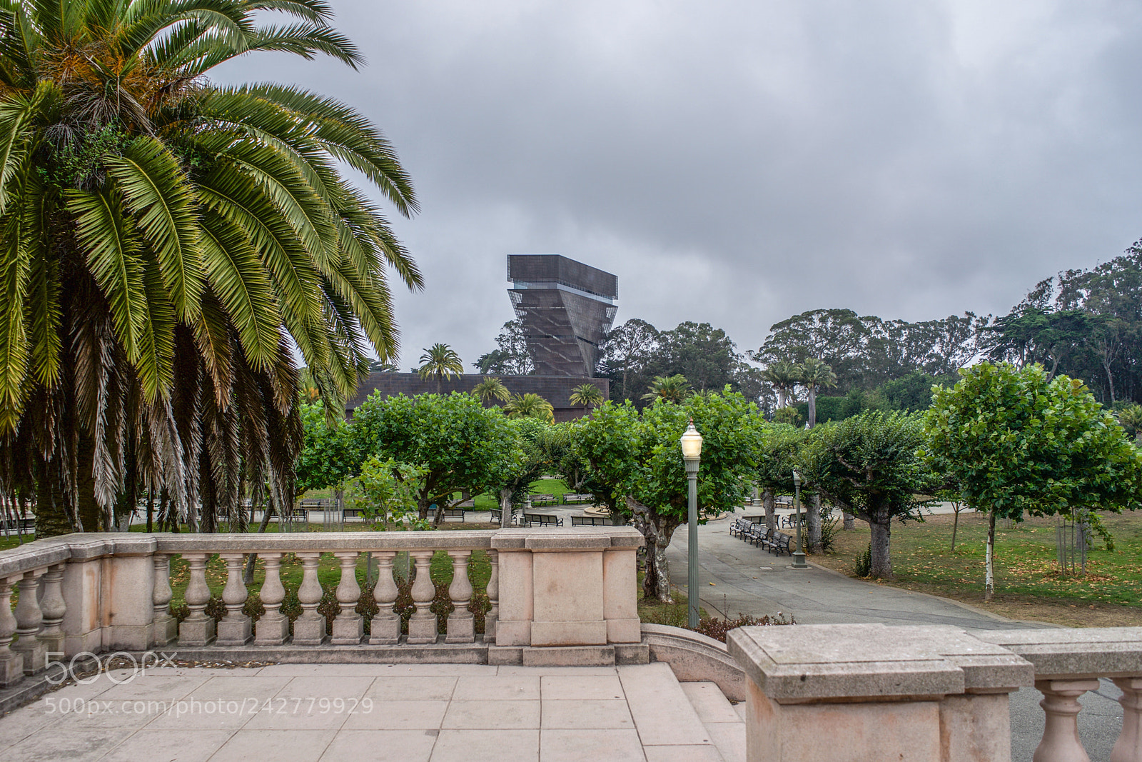 Sony a7 sample photo. Golden gate park san photography