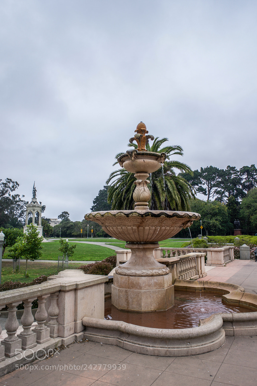 Sony a7 sample photo. Golden gate park san photography